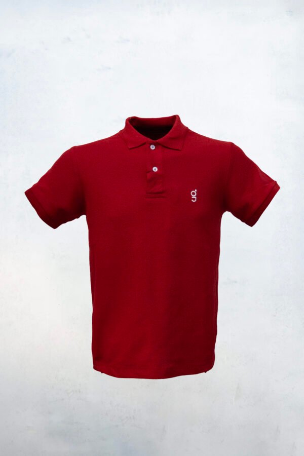 Origo Polo - Imagen 17