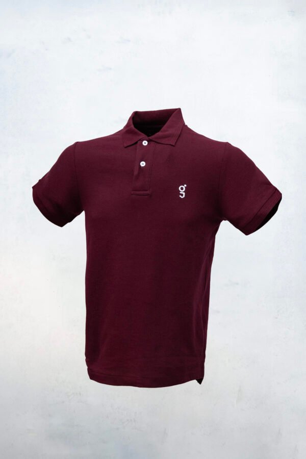Origo Polo - Imagen 14